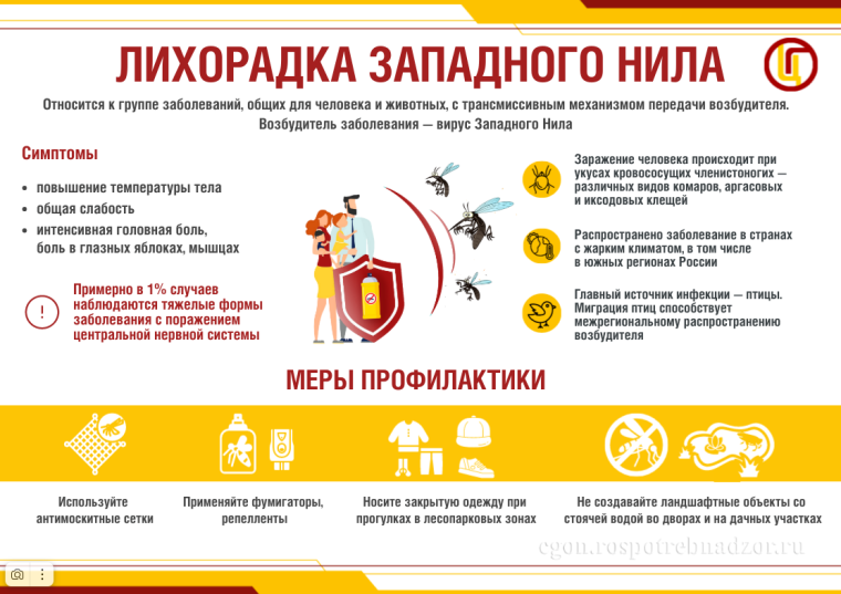 О лихорадке Западного Нила.